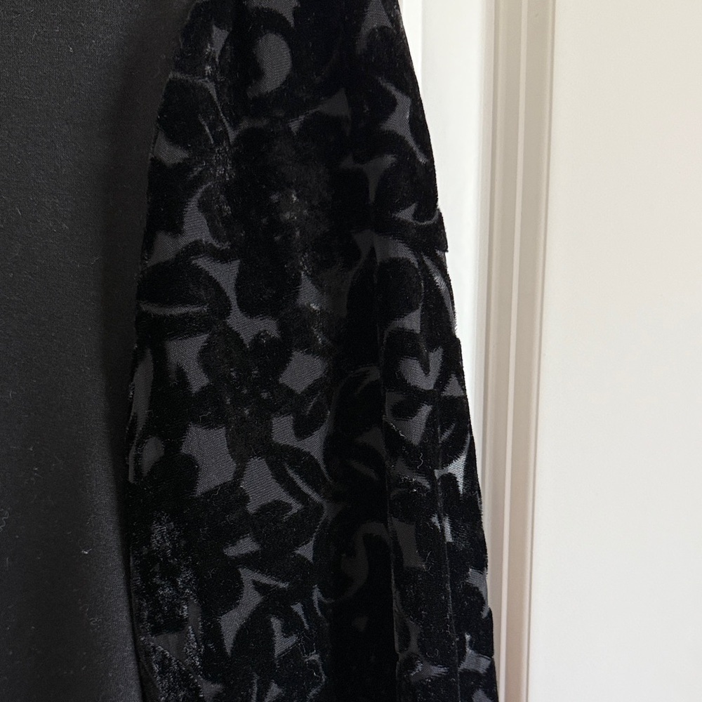 Altar'd State Puff-Sleeved Velvet Burnout Top Size Small - Picture 2 of 7